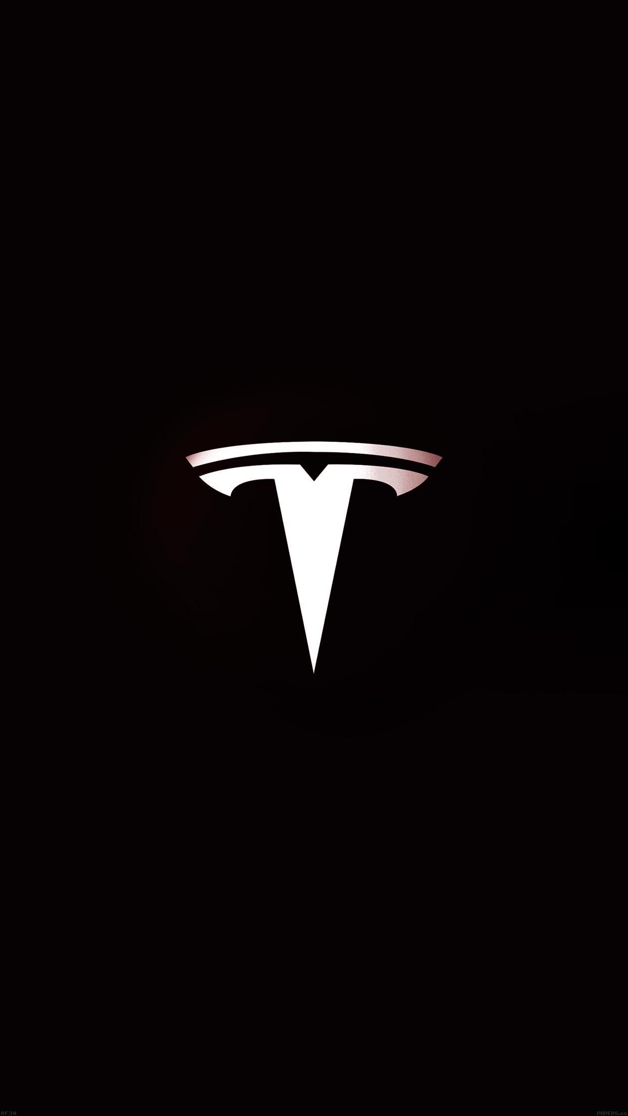 Detail Tesla Logo Black Nomer 11