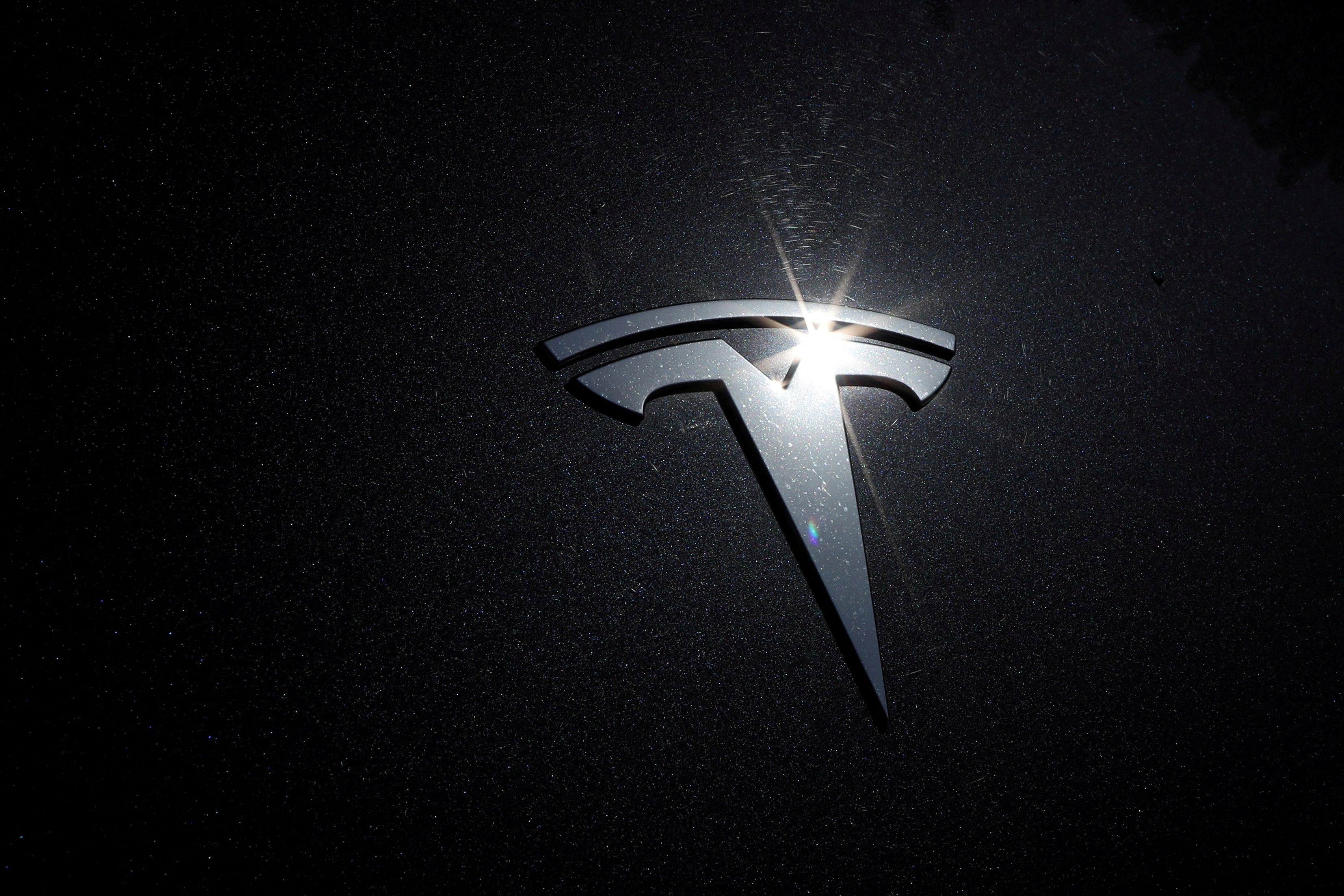 Detail Tesla Logo Black Nomer 26