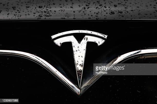 Detail Tesla Logo On Car Nomer 25