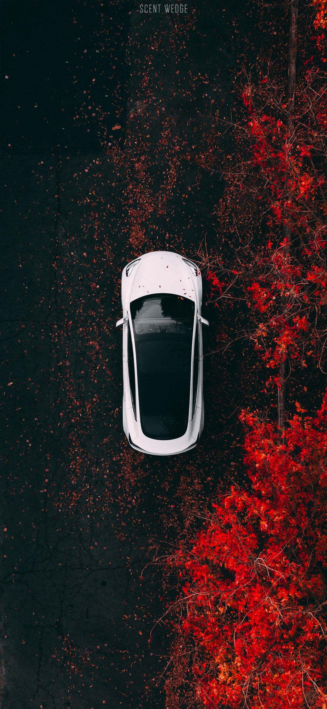 Detail Tesla Wallpaper Nomer 26