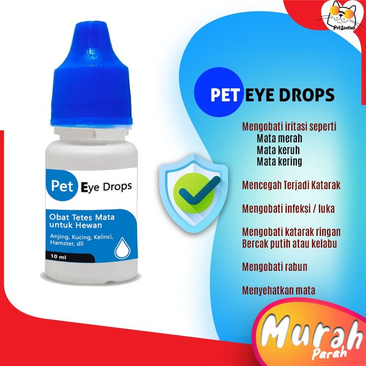 Detail Tetes Mata Warna Biru Nomer 35
