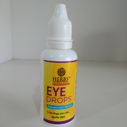 Detail Tetes Mata Warna Biru Nomer 46
