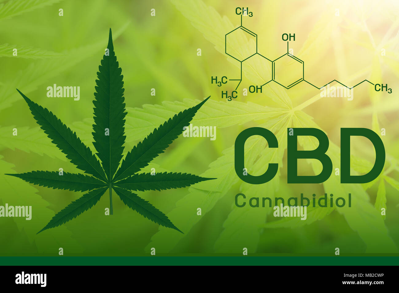 Detail Tetrahydrocannabinol Wallpaper Nomer 21