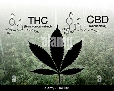 Detail Tetrahydrocannabinol Wallpaper Nomer 32