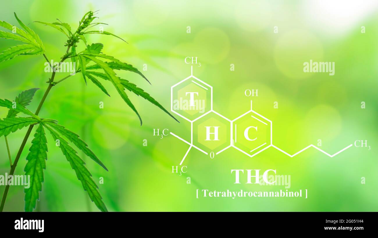 Detail Tetrahydrocannabinol Wallpaper Nomer 9