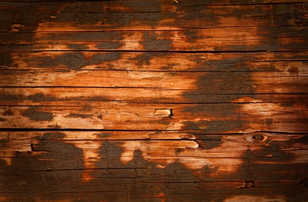 Detail Textures Hd Nomer 29