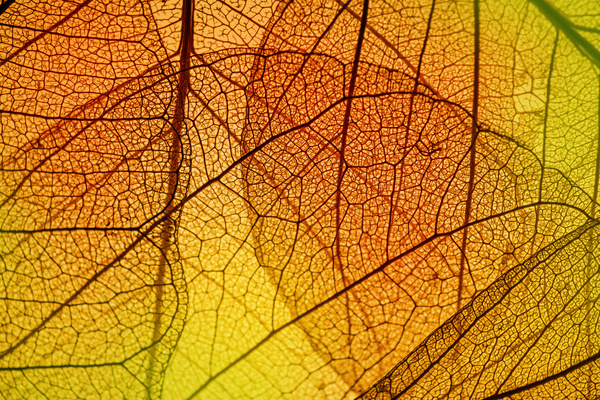 Detail Textures Hd Nomer 40