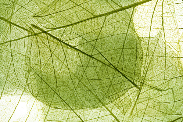 Detail Textures Hd Nomer 43
