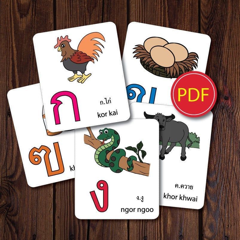 Thai Alphabet Flash Cards - KibrisPDR