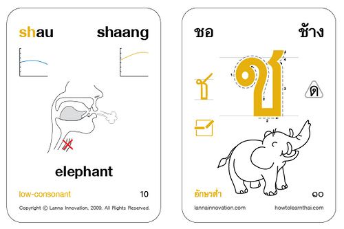 Detail Thai Alphabet Flash Cards Nomer 9