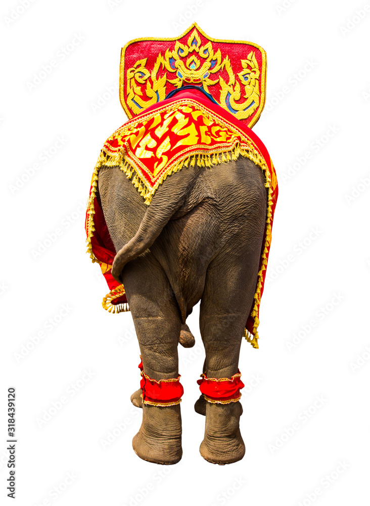 Detail Thailand Elephant Png Nomer 41