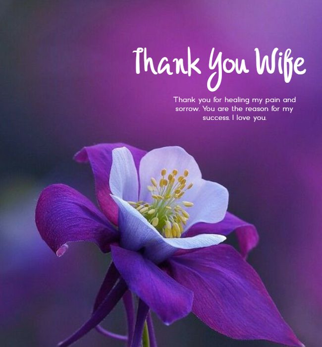 Thank You My Wife Quotes 52 Koleksi Gambar thank-you-my-wife-quotes-52-koleksi-gambar