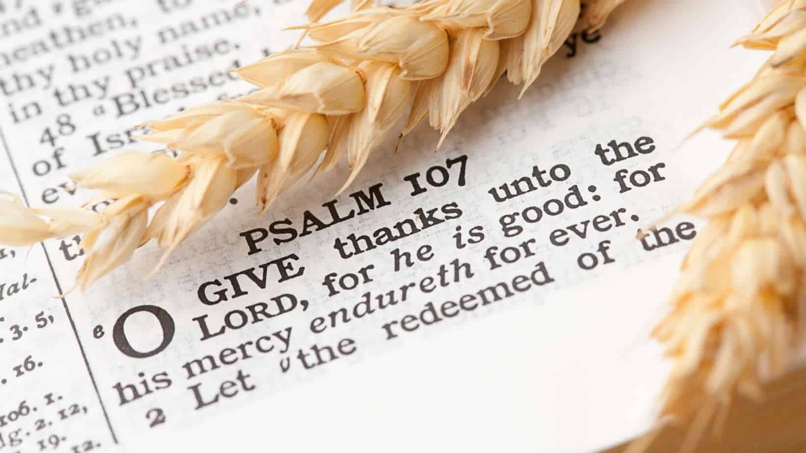 Detail Thanksgiving Bible Quotes Nomer 29