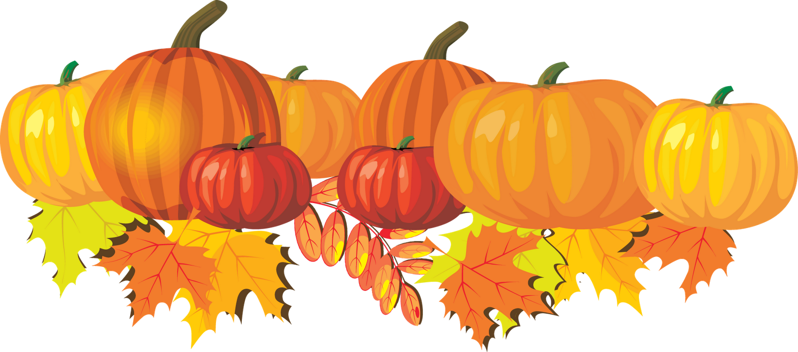 Detail Thanksgiving Pumpkin Png Nomer 19