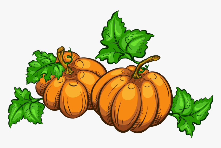 Detail Thanksgiving Pumpkin Png Nomer 20