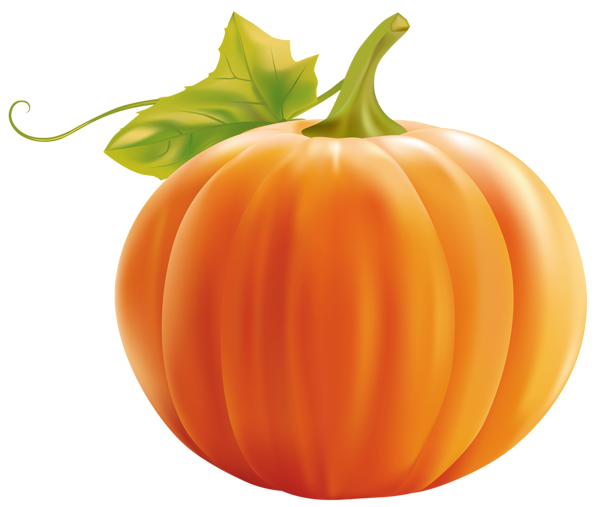 Detail Thanksgiving Pumpkin Png Nomer 22