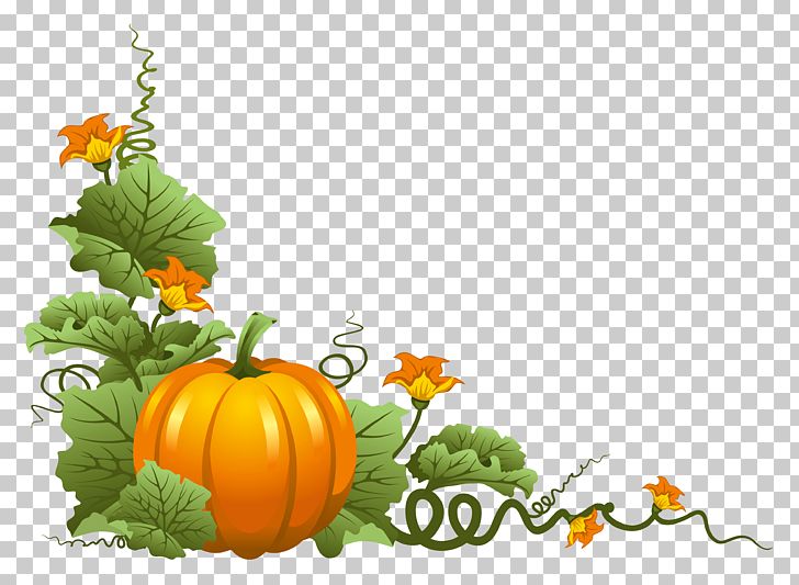 Detail Thanksgiving Pumpkin Png Nomer 3