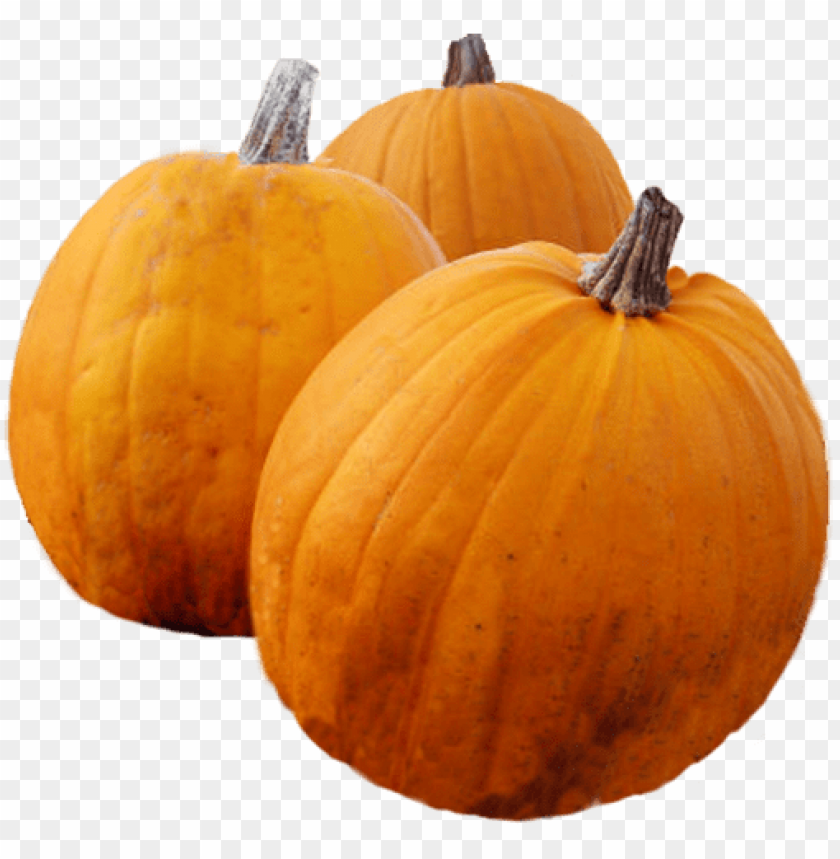 Detail Thanksgiving Pumpkin Png Nomer 35