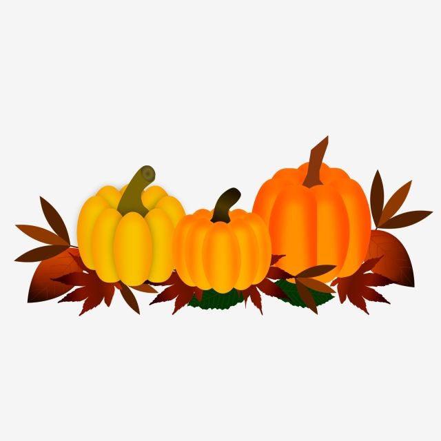 Detail Thanksgiving Pumpkin Png Nomer 48