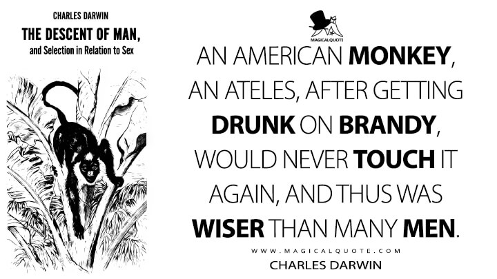 Detail The Descent Of Man Quotes Nomer 28