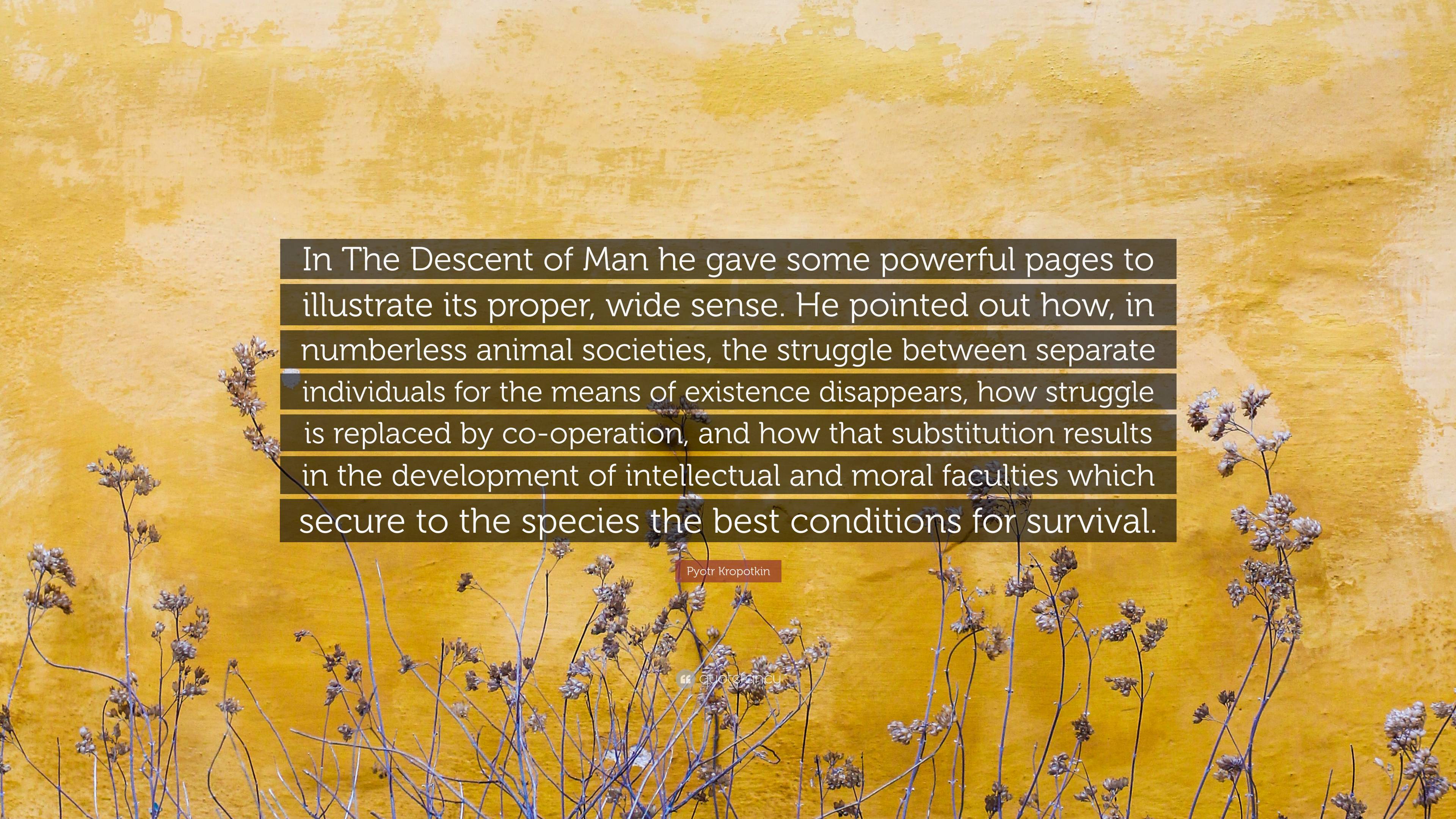 Detail The Descent Of Man Quotes Nomer 30