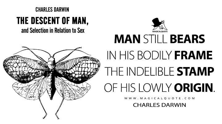 Detail The Descent Of Man Quotes Nomer 31