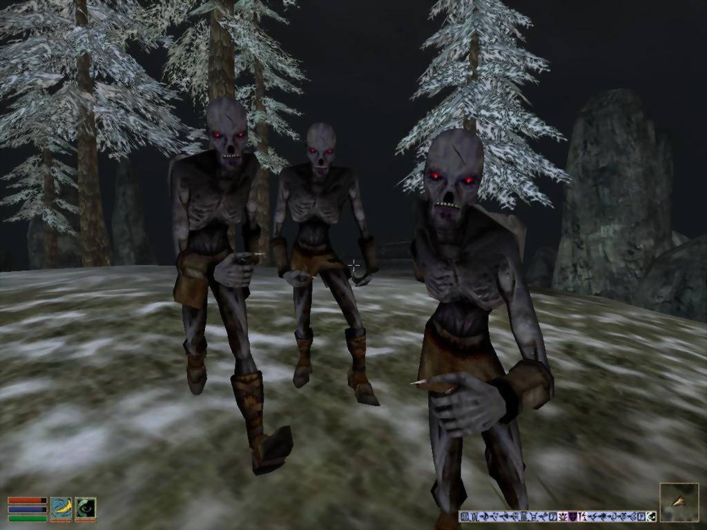 Detail The Elder Scrolls Iii Bloodmoon Nomer 13