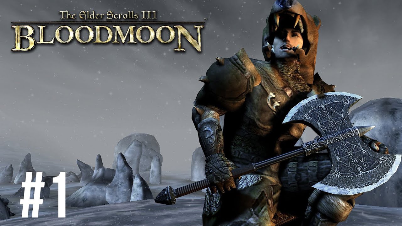 Detail The Elder Scrolls Iii Bloodmoon Nomer 5