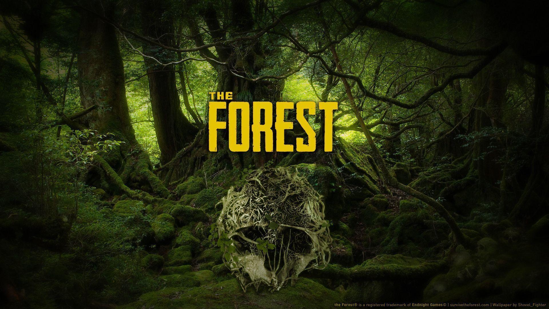 Detail The Forest Wallpaper Nomer 2