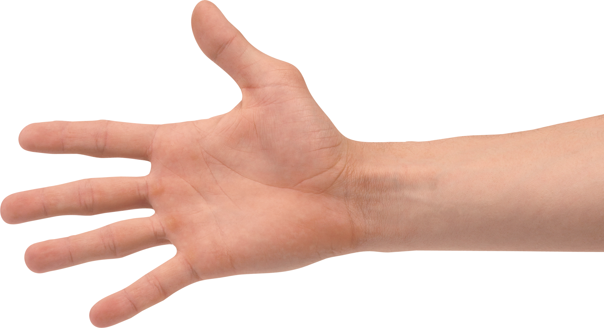 Detail The Hand Png Nomer 3