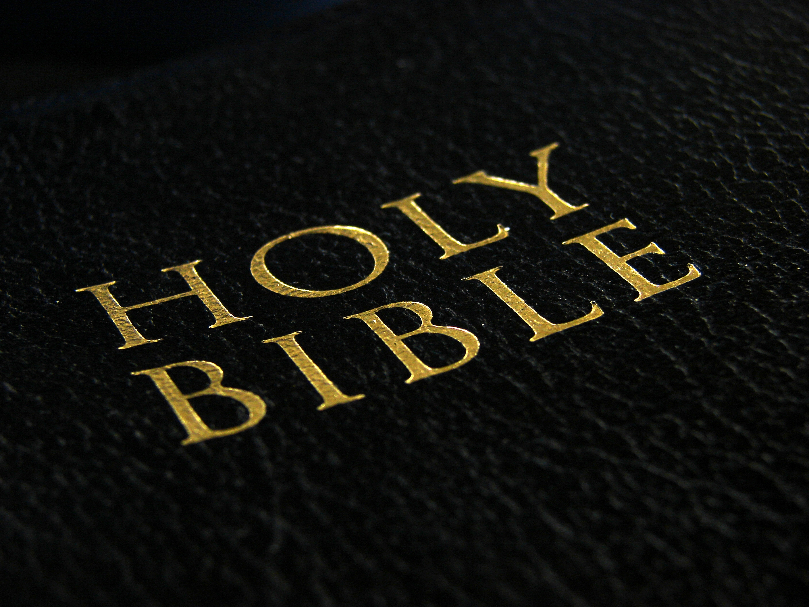 Detail The Holy Bible Free Download Nomer 37