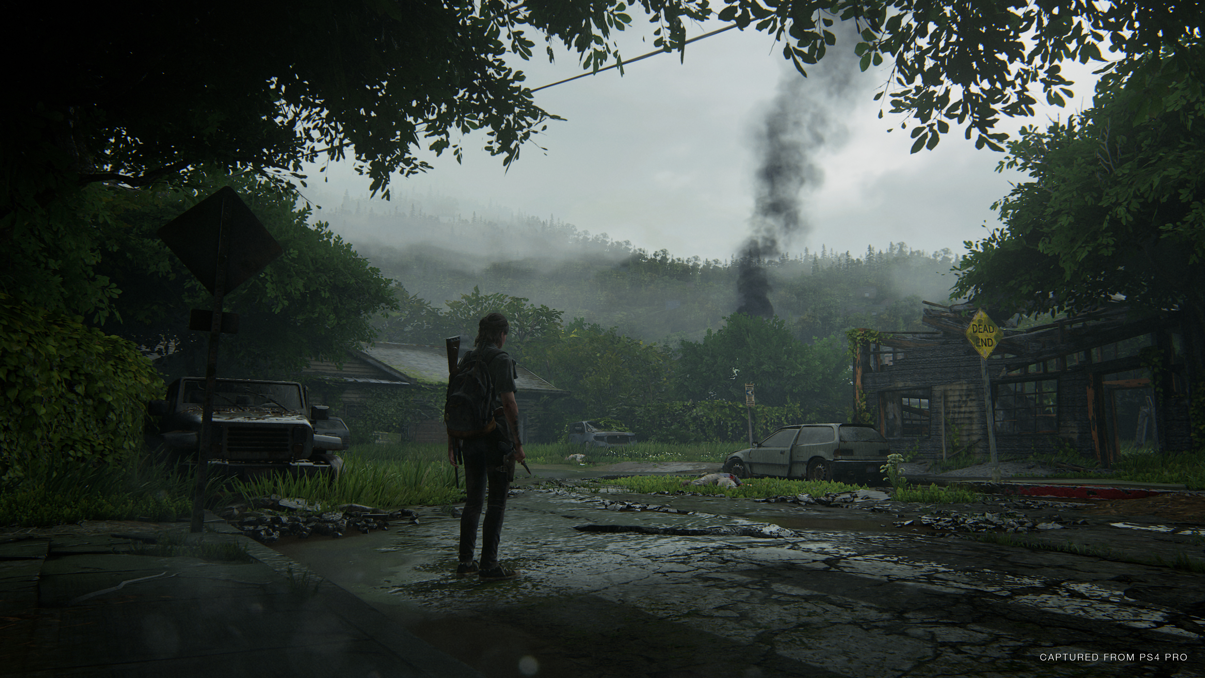 Detail The Last Of Us Wallpaper Hd Nomer 13