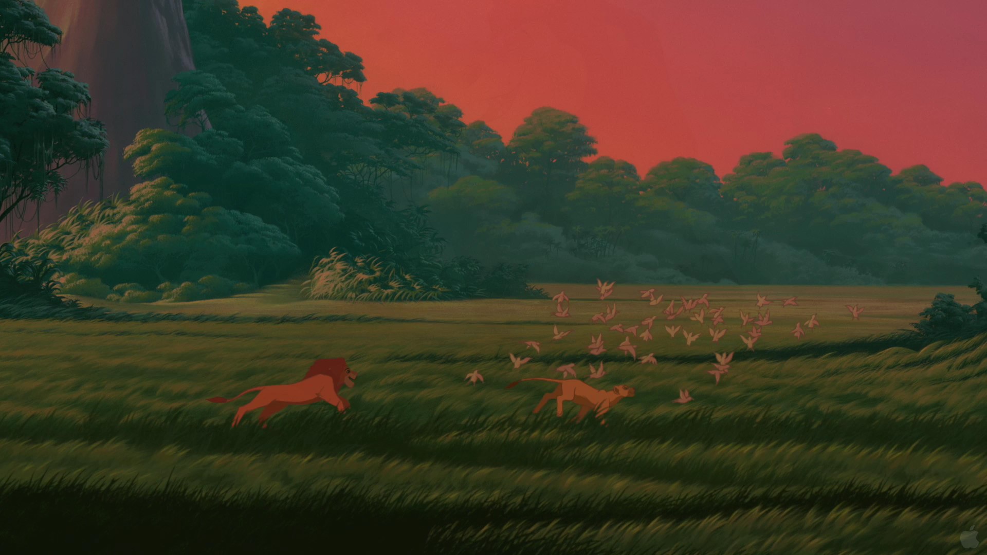 Detail The Lion King Backgrounds Nomer 25
