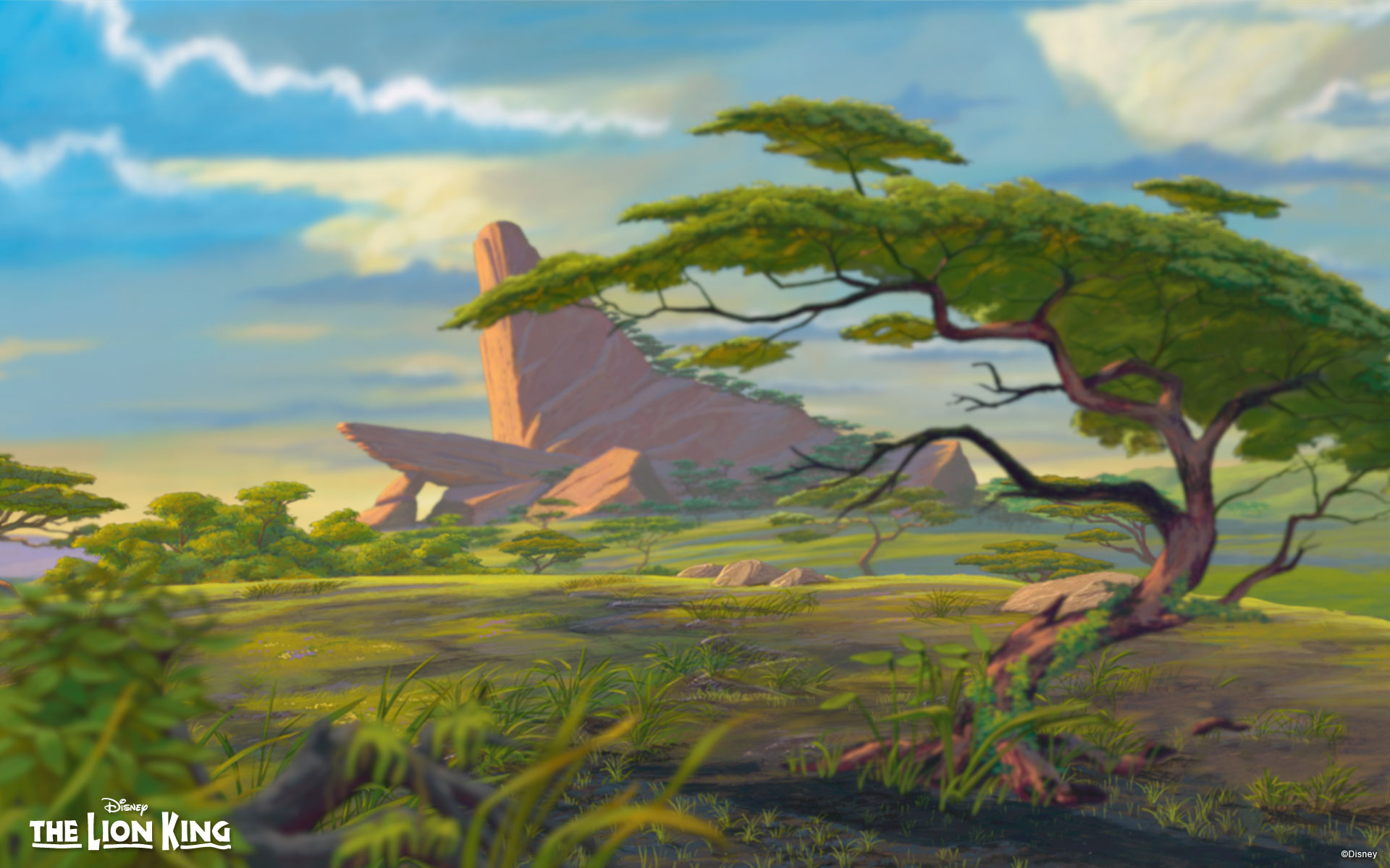 Detail The Lion King Backgrounds Nomer 5