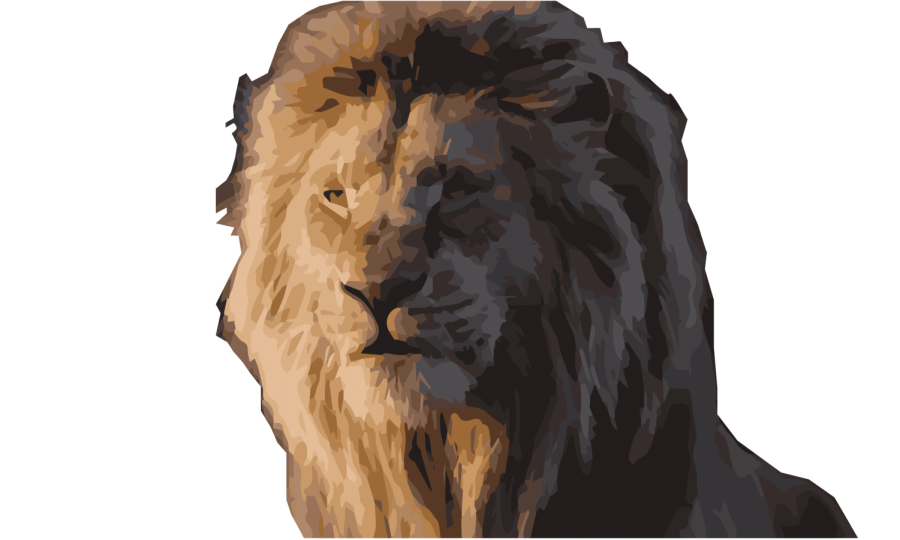 Detail The Lion King Download Free Nomer 42