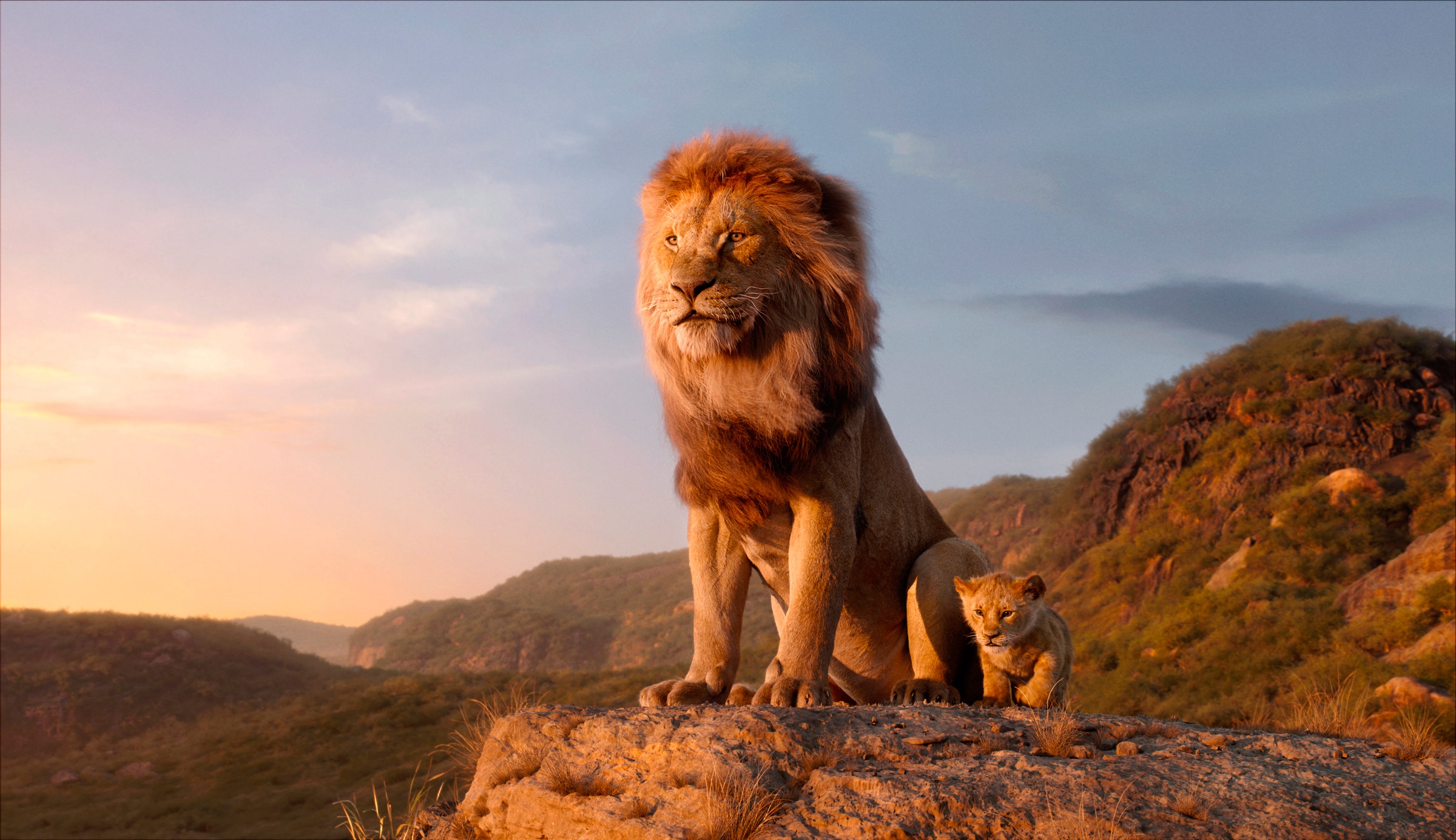 Detail The Lion King Images Nomer 4