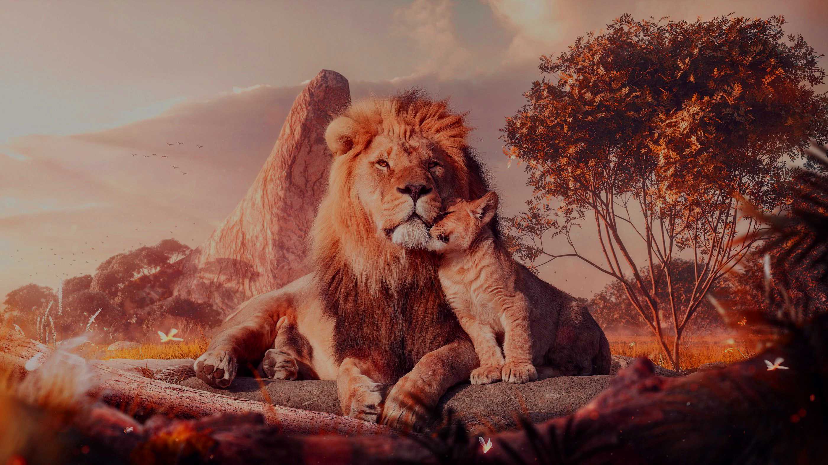 Detail The Lion King Wallpaper Nomer 25