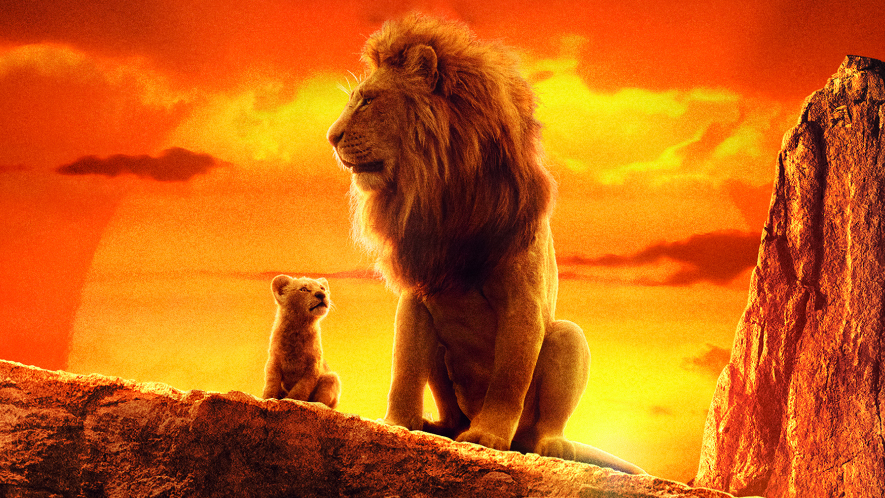 Detail The Lion King Wallpaper Nomer 30