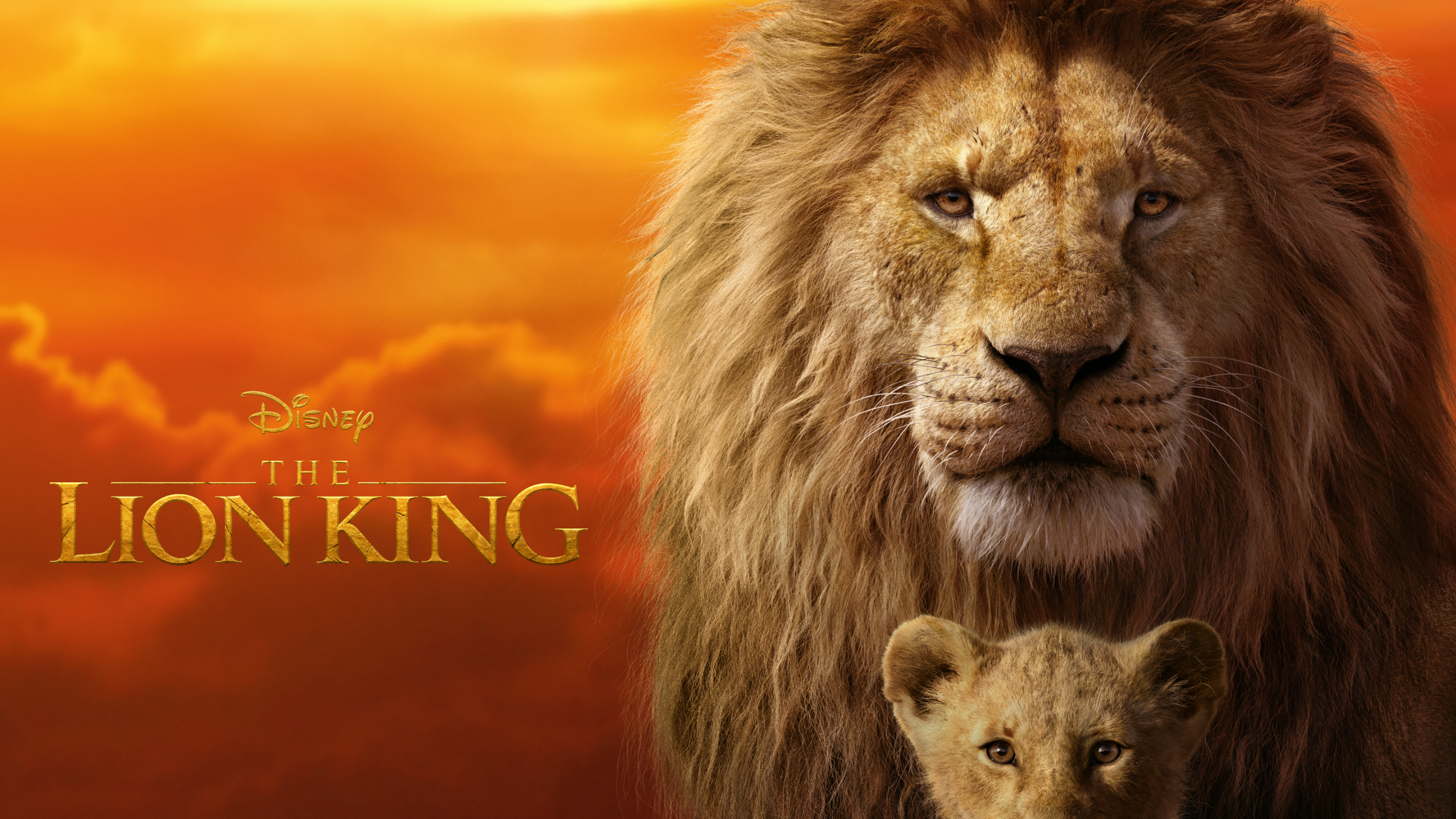 Detail The Lion King Wallpaper Nomer 10