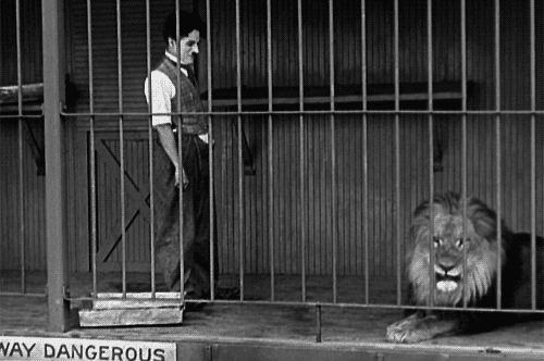 Detail The Lions Cage Charlie Chaplin Nomer 16