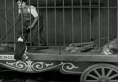 Detail The Lions Cage Charlie Chaplin Nomer 27