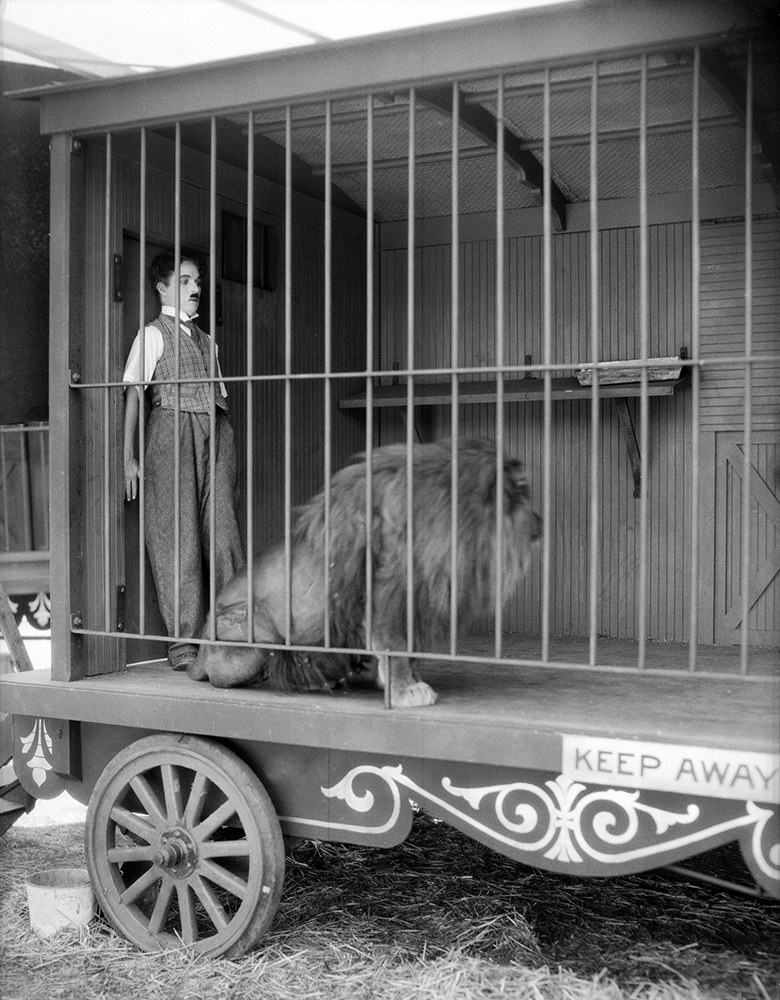 Detail The Lions Cage Charlie Chaplin Nomer 42