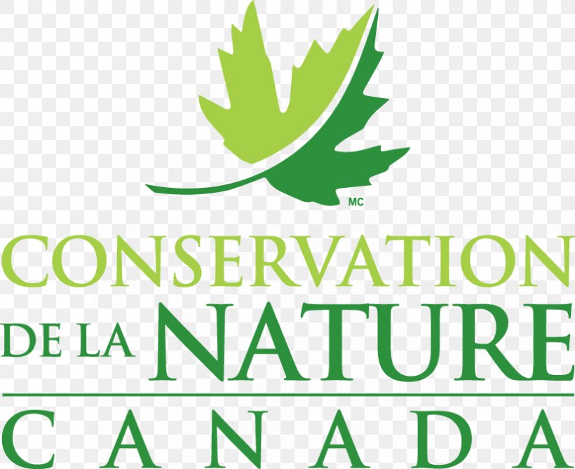 Detail The Nature Conservancy Logo Png Nomer 20