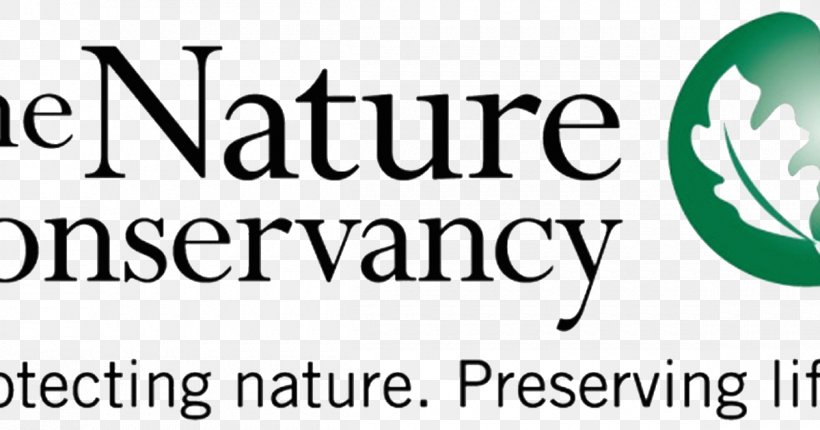 Detail The Nature Conservancy Logo Png Nomer 4