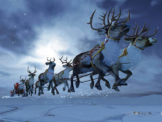 Detail The Nine Reindeer Nomer 22