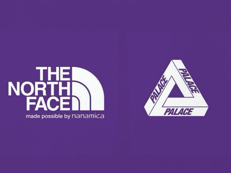 Detail The North Face Logo Nomer 38