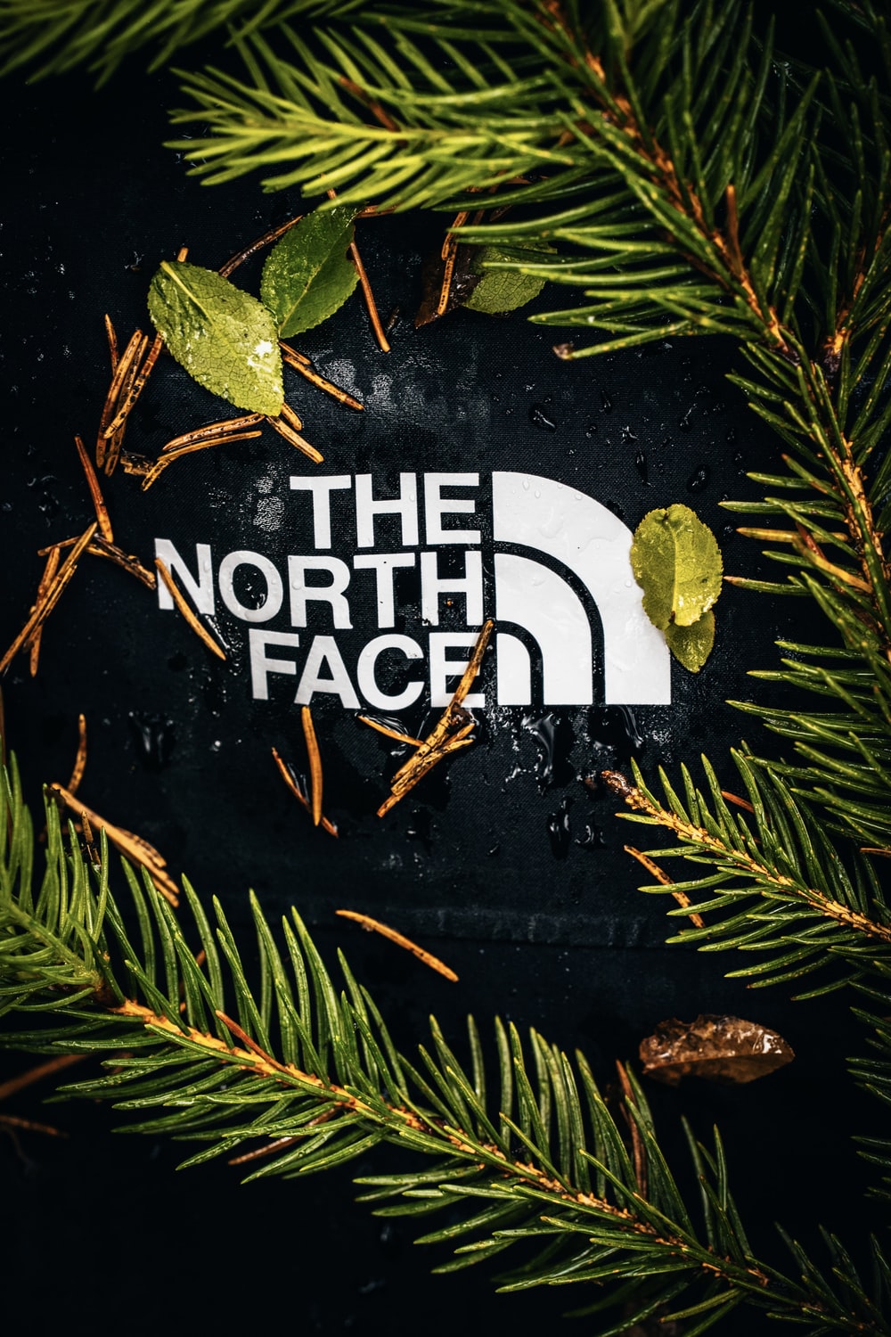Detail The North Face Logo Hd Nomer 9