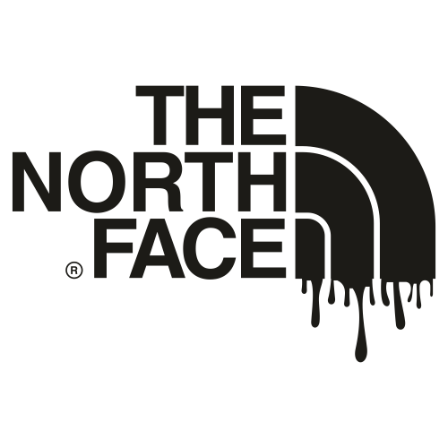 Detail The North Face Logo Vector Nomer 11