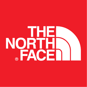 Detail The North Face Logo Vector Nomer 3