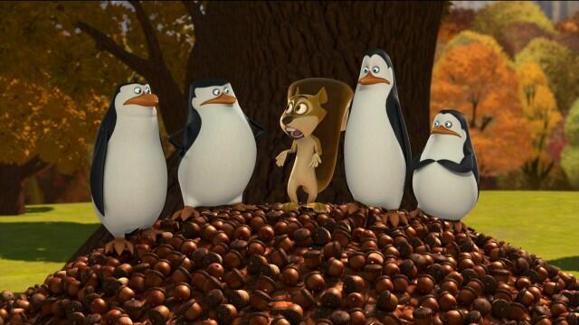 Detail The Penguins Of Madagascar Nuts To You Nomer 13